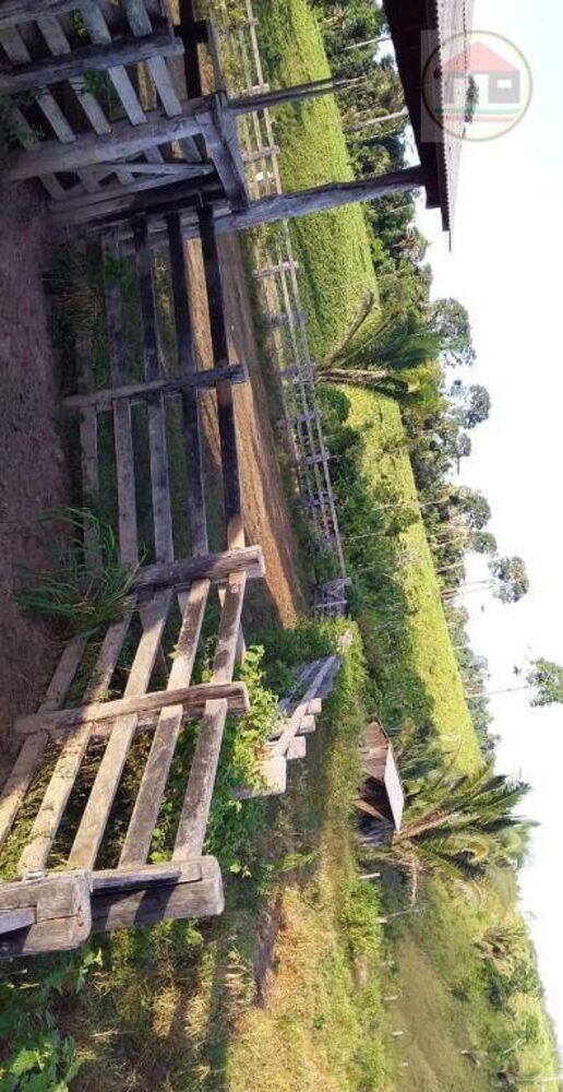 Fazenda, 1099 hectares - Foto 3