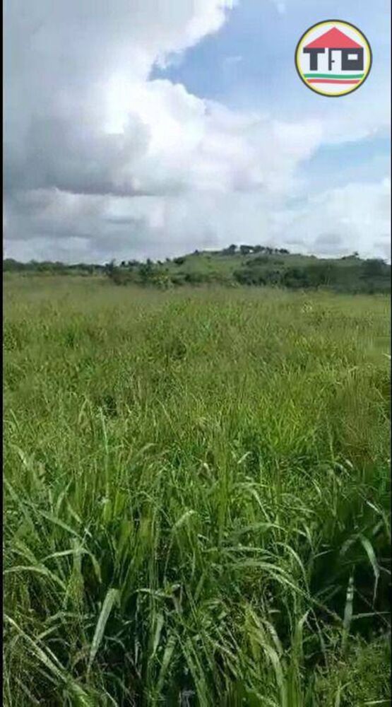 Fazenda à venda, 4259200M2 - Foto 2