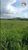 Fazenda, 426 hectares - Foto 2