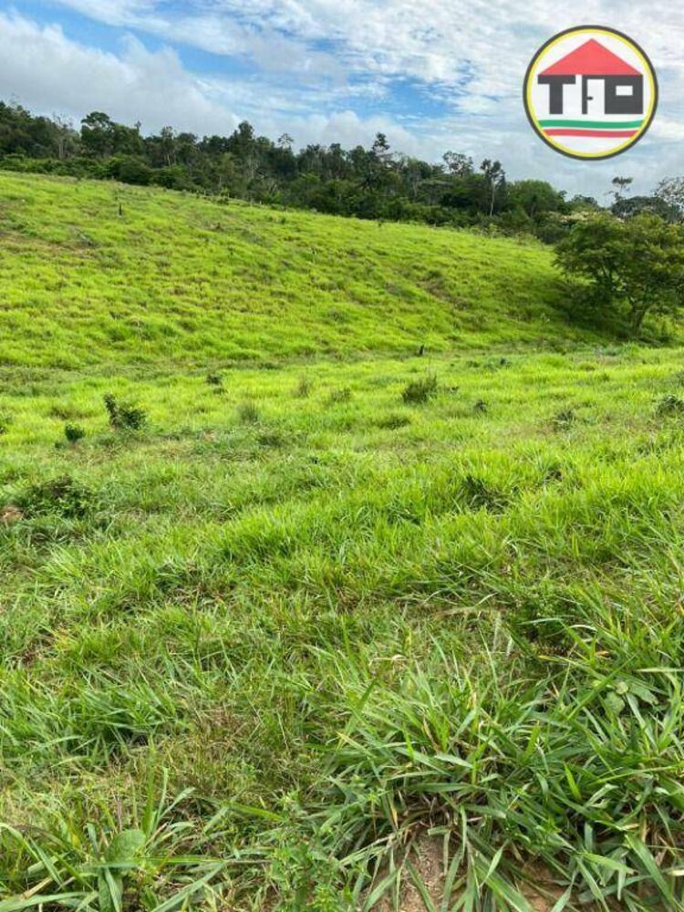 Fazenda, 3659 hectares - Foto 3