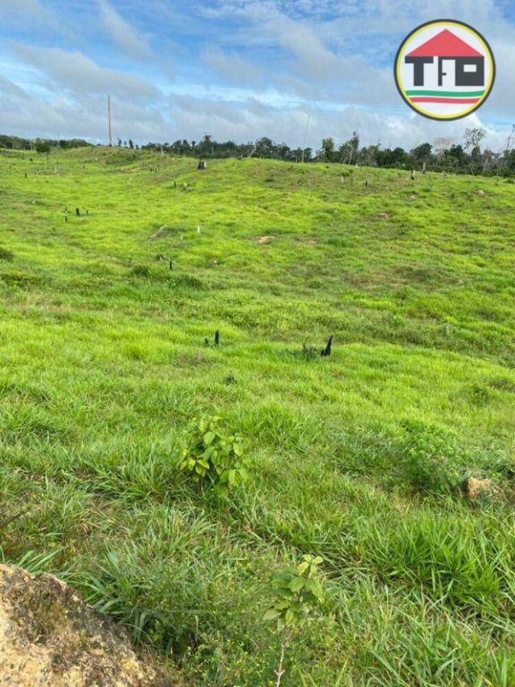 Fazenda, 3659 hectares - Foto 1