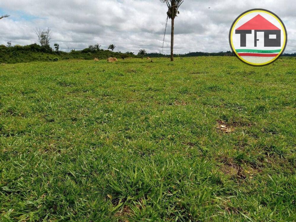 Fazenda, 3659 hectares - Foto 4