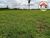 Fazenda-Sítio-Chácara, 3659 hectares - Foto 4