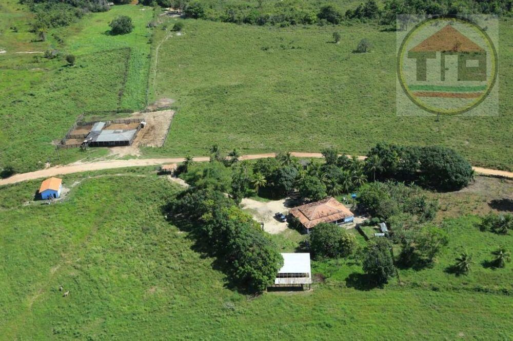 Fazenda, 818 hectares - Foto 3