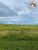 Fazenda, 1036 hectares - Foto 2