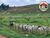 Fazenda, 5130 hectares - Foto 4
