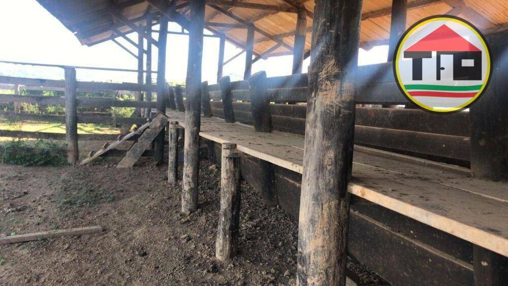 Fazenda à venda, 8131200M2 - Foto 1