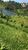 Fazenda, 813 hectares - Foto 4
