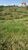 Fazenda, 813 hectares - Foto 2