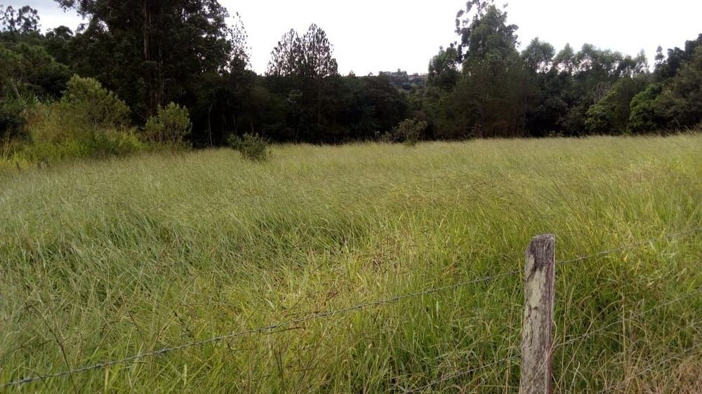 Terreno, 2 hectares - Foto 1