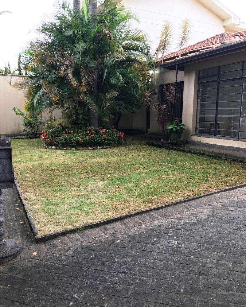 Casa, 4 quartos - Foto 4