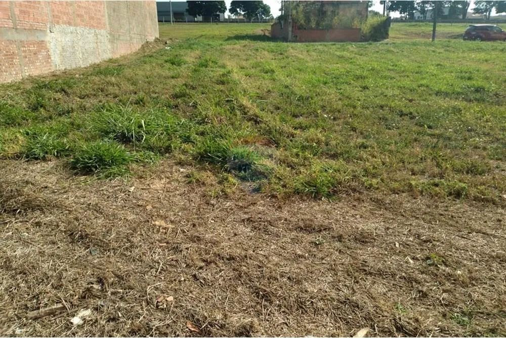Terreno, 301 m² - Foto 4