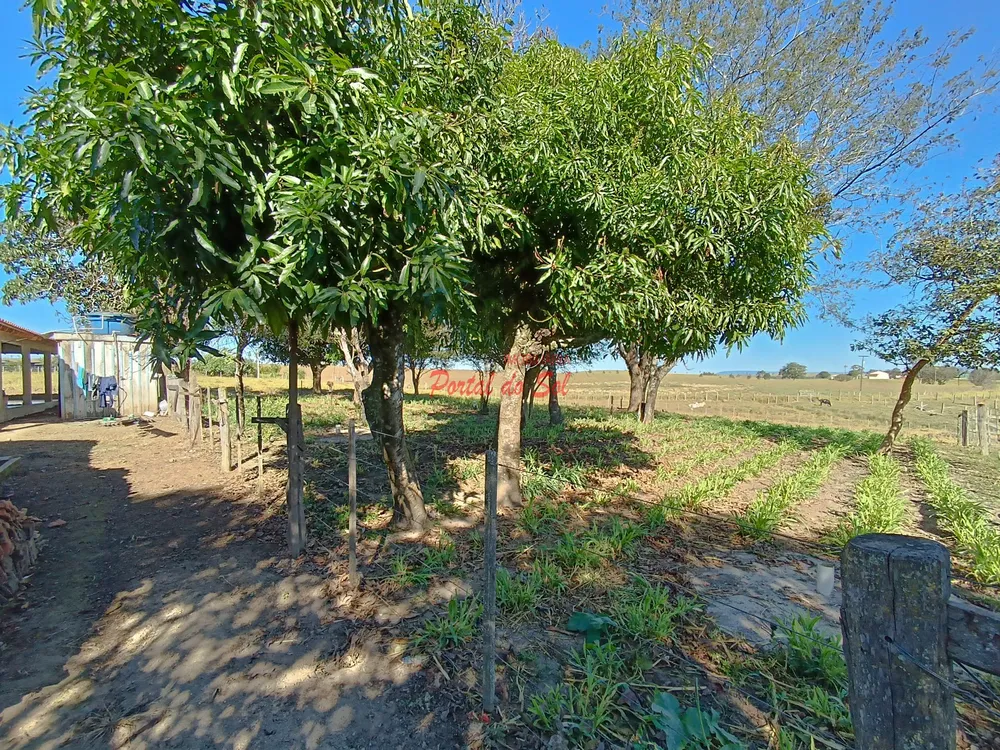 Sítio, 3 quartos, 7 hectares - Foto 4