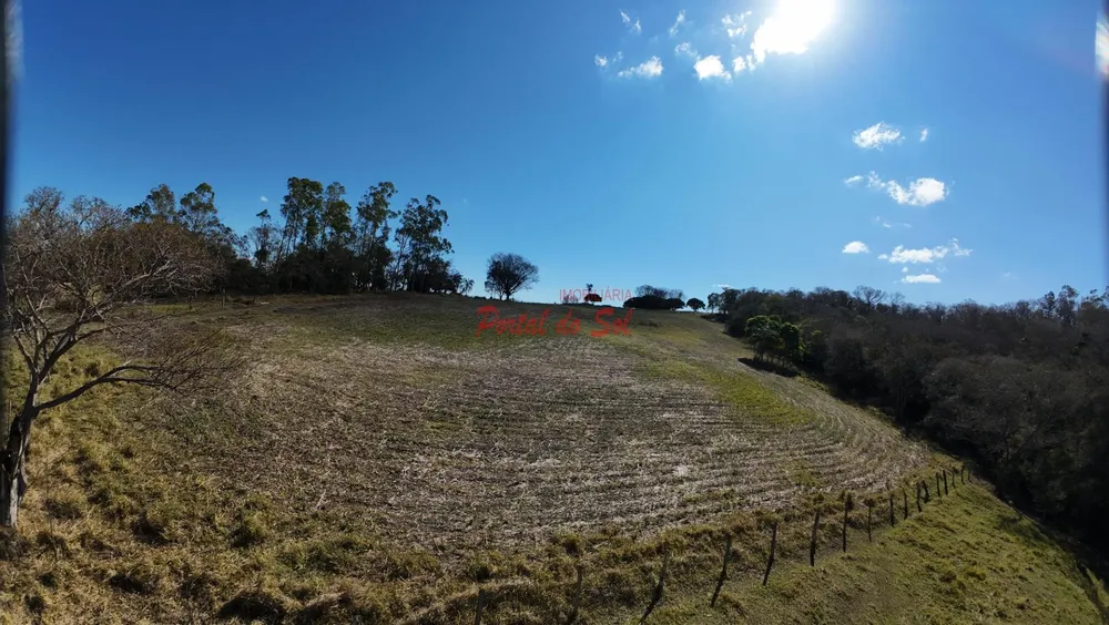 Sítio, 3 quartos, 7 hectares - Foto 4