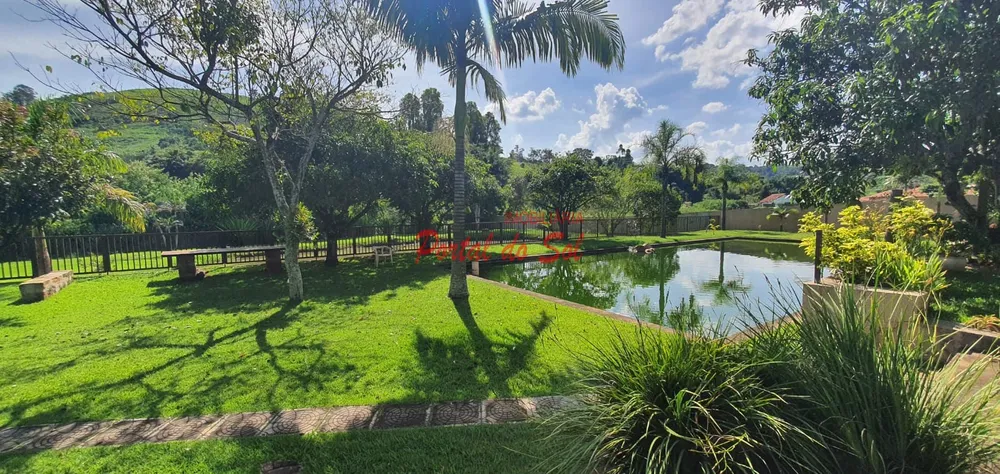 Terreno, 4250 m² - Foto 10