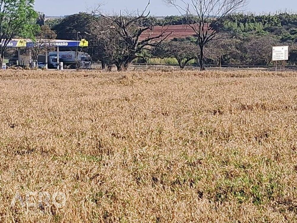 Fazenda, 28 hectares - Foto 3