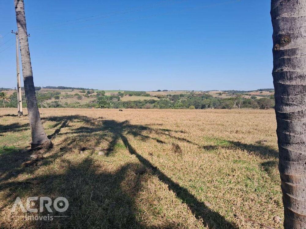 Fazenda, 28 hectares - Foto 10