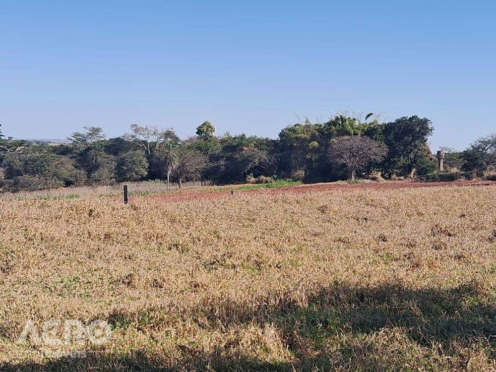 Fazenda, 28 hectares - Foto 12