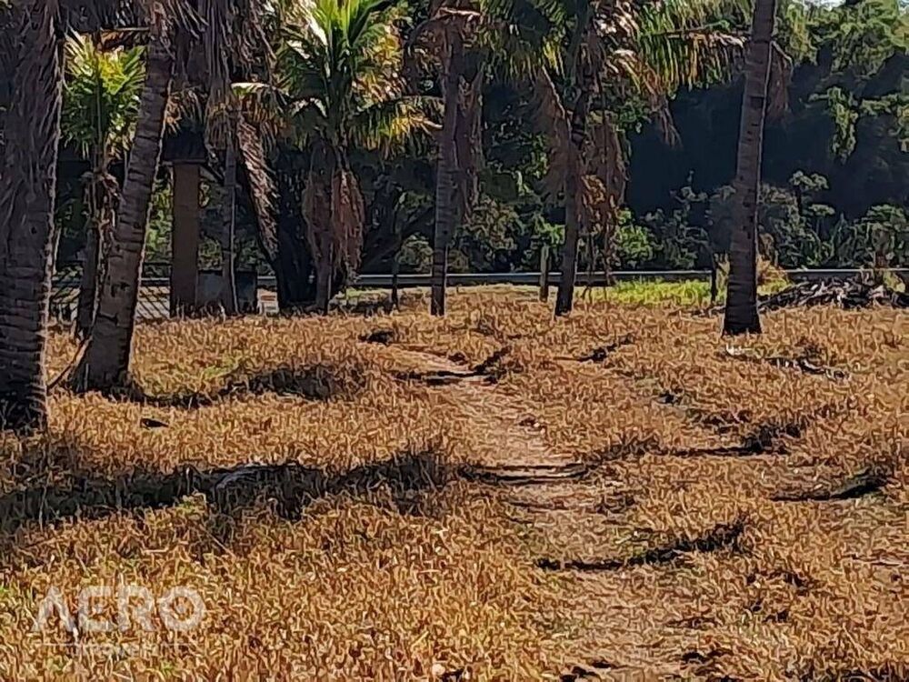 Fazenda, 28 hectares - Foto 6