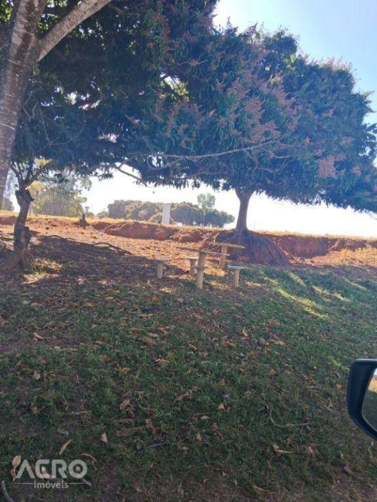 Fazenda, 28 hectares - Foto 5