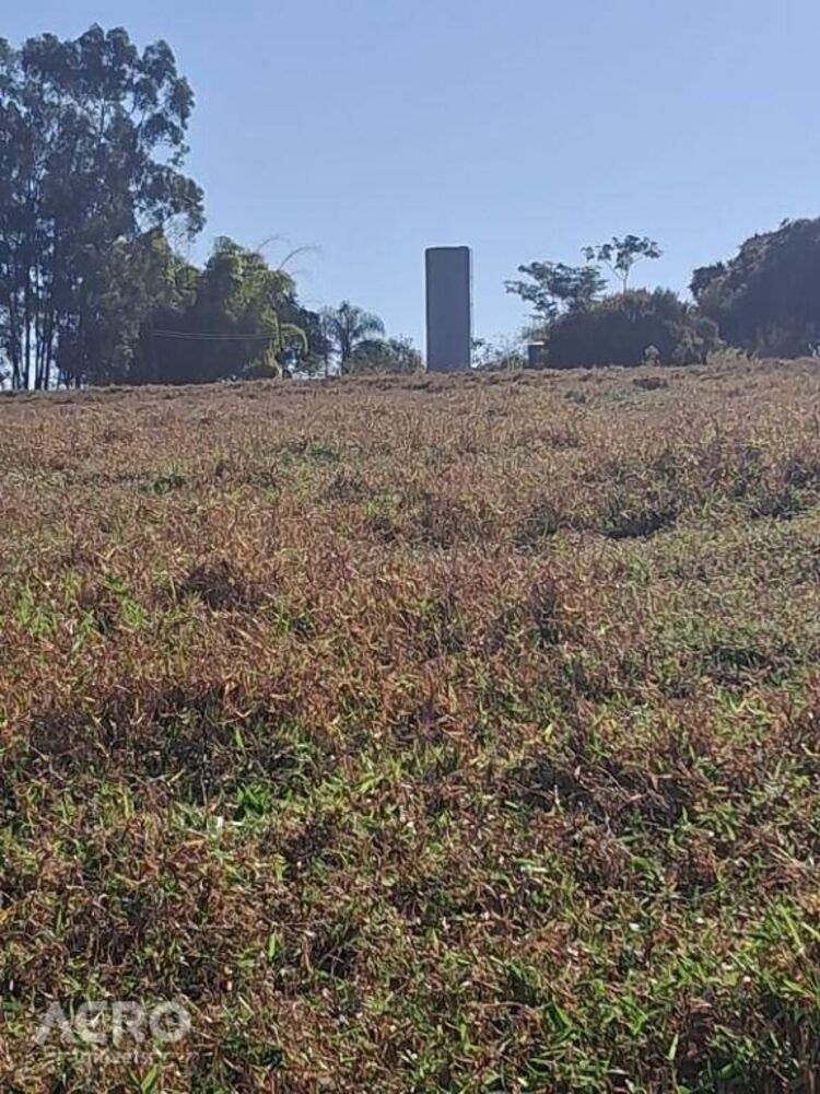 Fazenda, 28 hectares - Foto 4