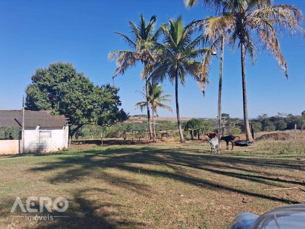 Fazenda, 28 hectares - Foto 13