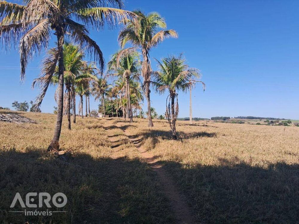 Fazenda, 28 hectares - Foto 22