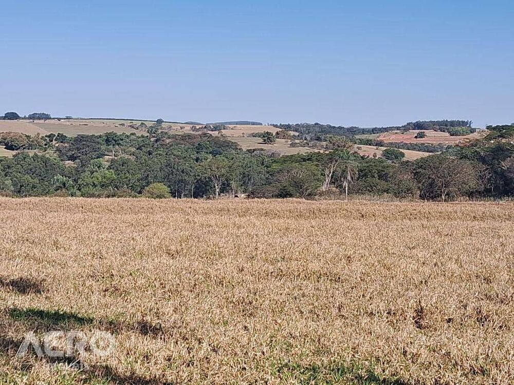 Fazenda, 28 hectares - Foto 8