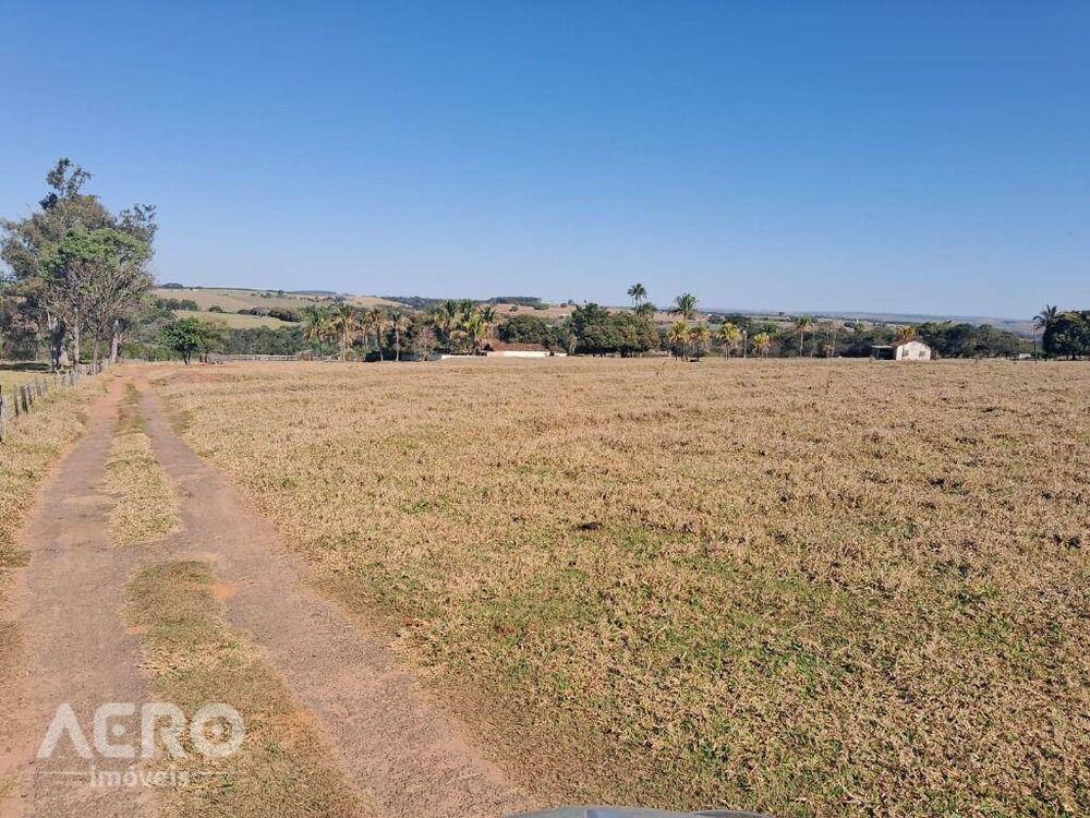Fazenda, 28 hectares - Foto 17