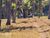 Fazenda-Sítio-Chácara, 29 hectares - Foto 2