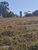 Fazenda-Sítio-Chácara, 29 hectares - Foto 4