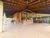 Chácara, 4 quartos, 3800 m² - Foto 6