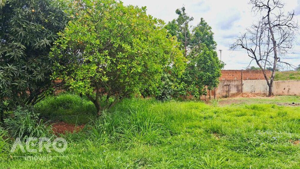 Casa, 2 quartos, 490 m² - Foto 6