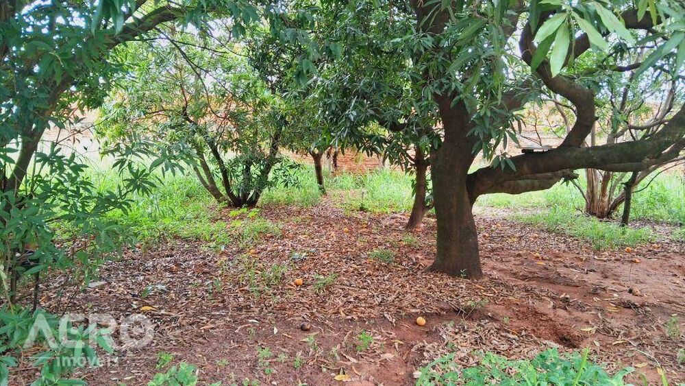 Casa, 2 quartos, 490 m² - Foto 9