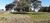 Terreno, 1558 m² - Foto 2