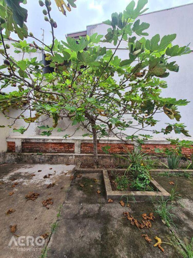 Casa, 3 quartos, 260 m² - Foto 33