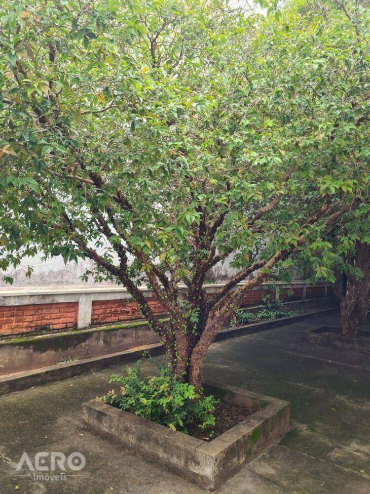 Casa, 3 quartos, 260 m² - Foto 34