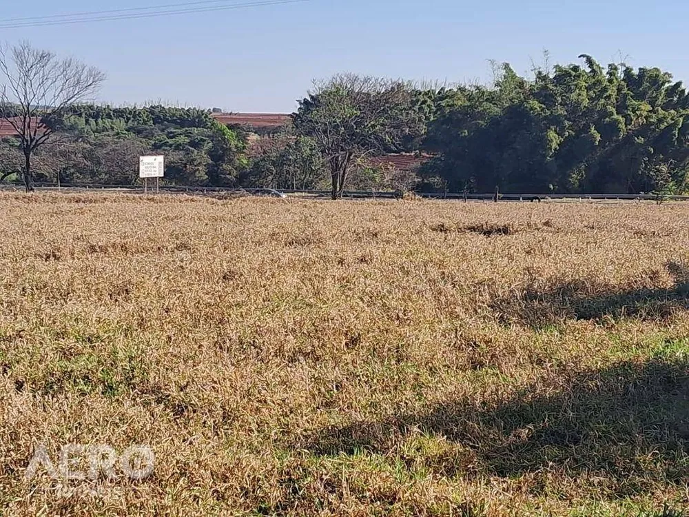 Sítio, 2 quartos, 28 hectares - Foto 8