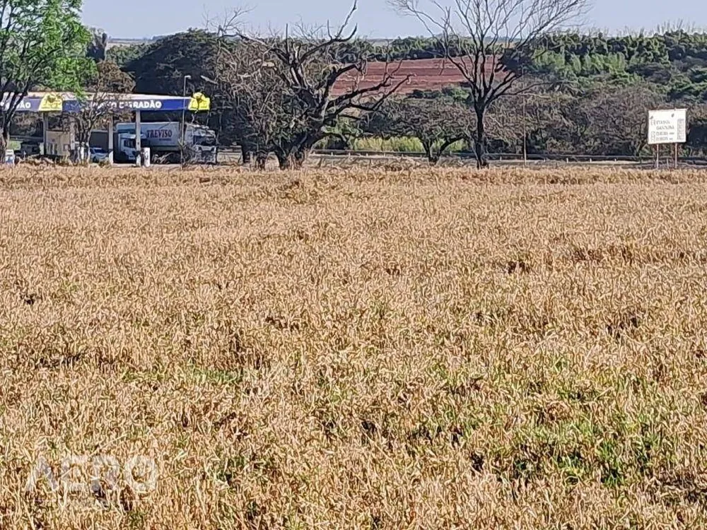 Sítio, 2 quartos, 28 hectares - Foto 4