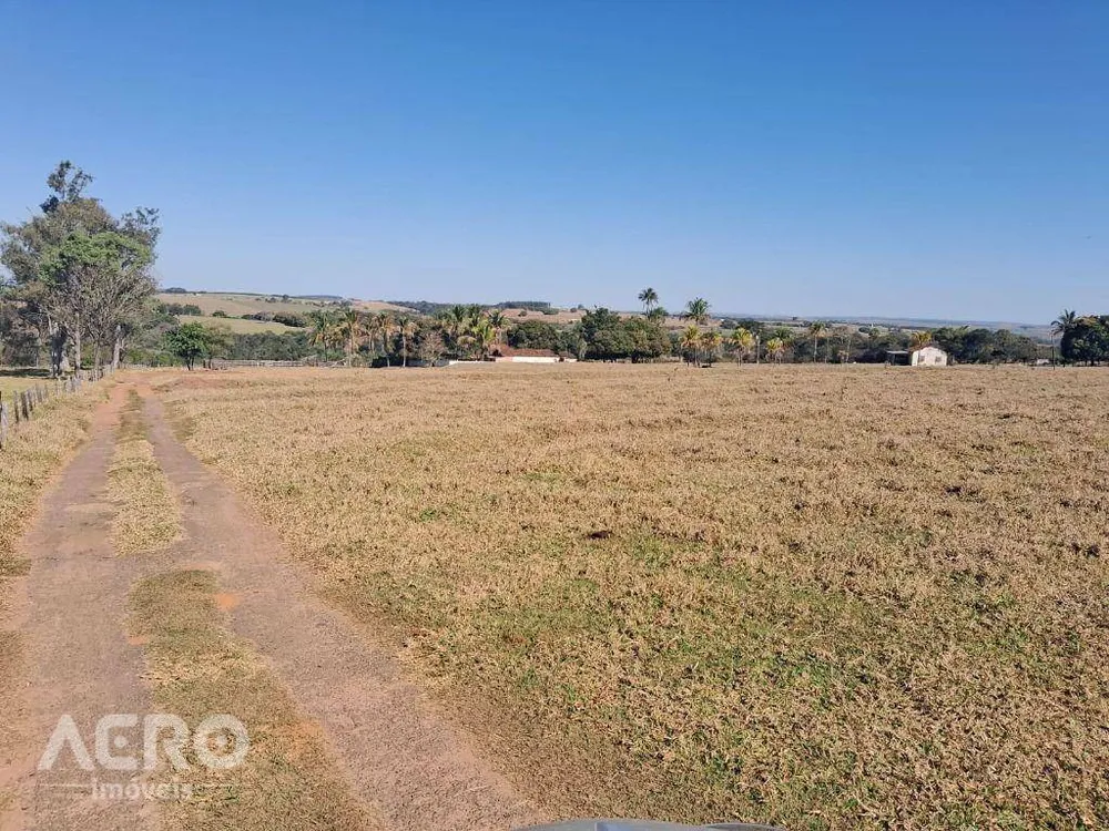 Sítio, 2 quartos, 28 hectares - Foto 6