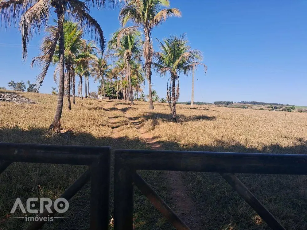 Sítio, 2 quartos, 28 hectares - Foto 10
