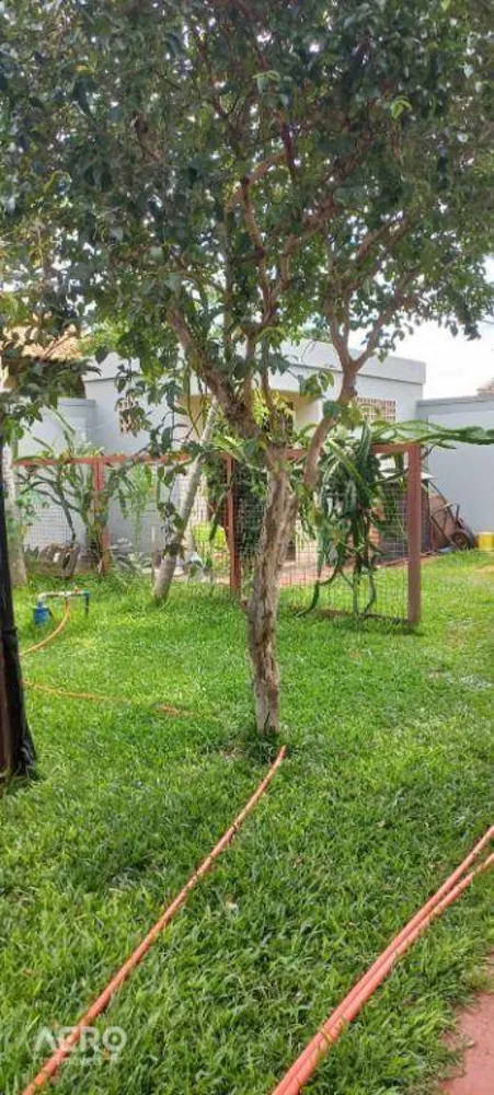 Chácara, 2 quartos, 1200 m² - Foto 10