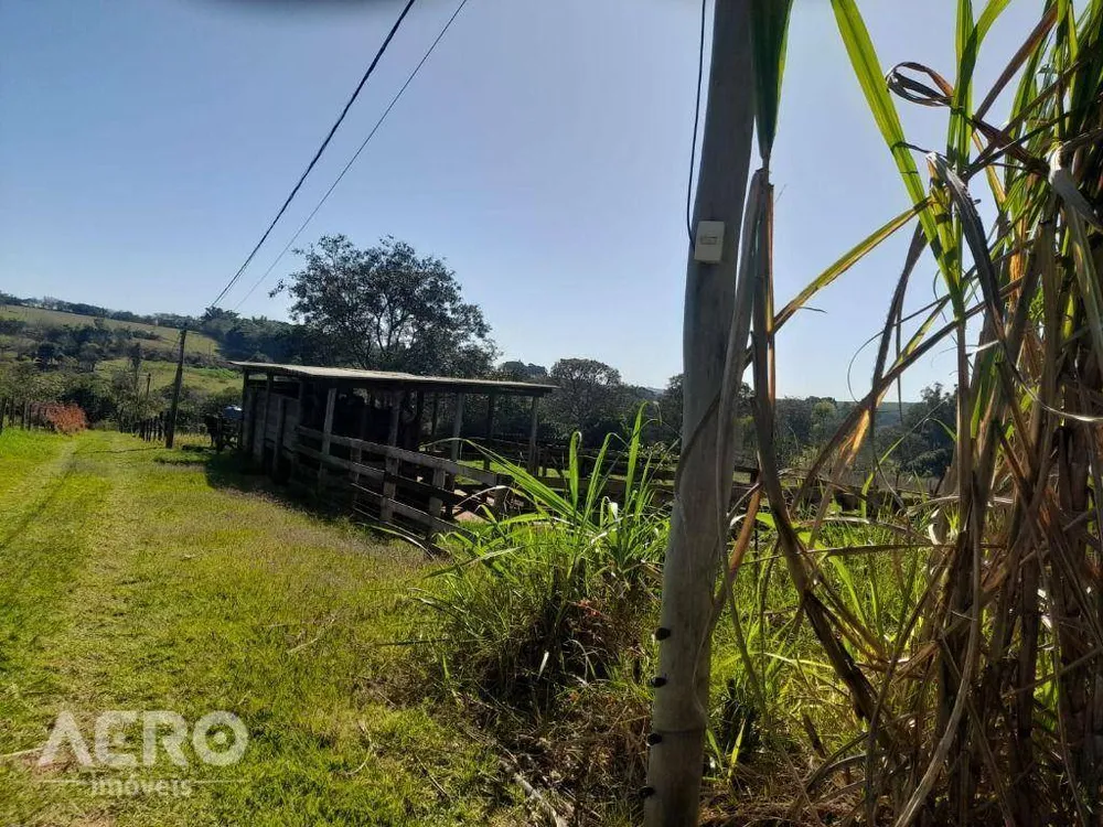 Chácara, 4 quartos, 2500 m² - Foto 4