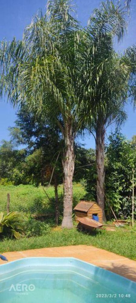 Chácara, 4 quartos, 2 hectares - Foto 4