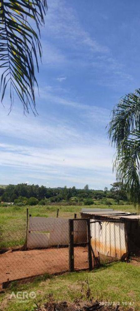 Chácara, 4 quartos, 2 hectares - Foto 8