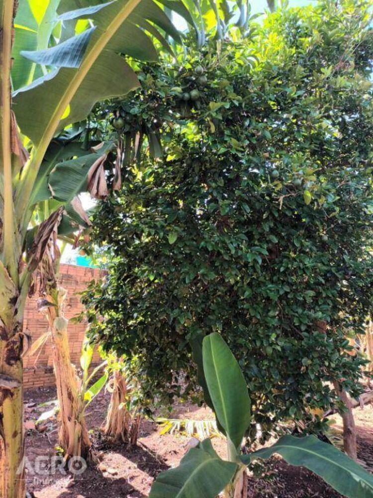 Terreno à venda, 303M2 - Foto 2