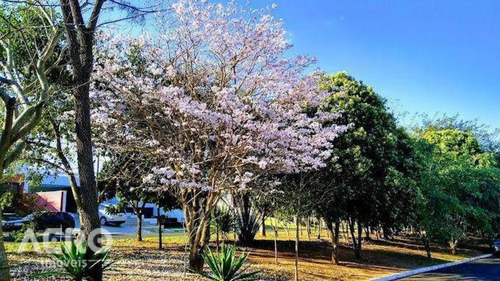 Loteamento e Condomínio, 600 m² - Foto 3