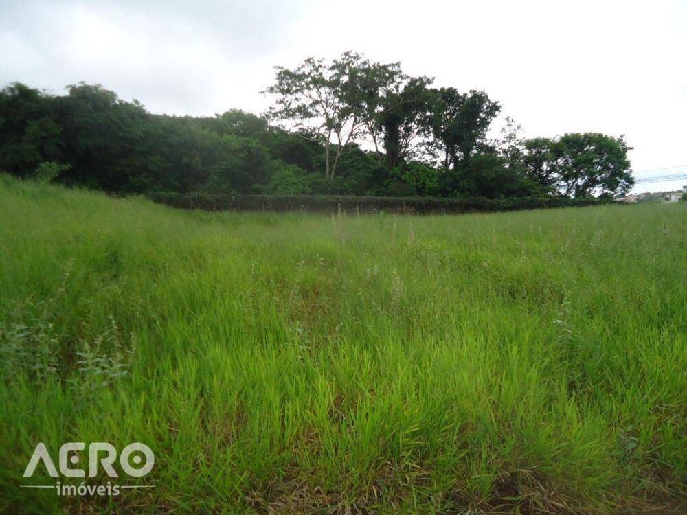 Terreno, 3191 m² - Foto 2