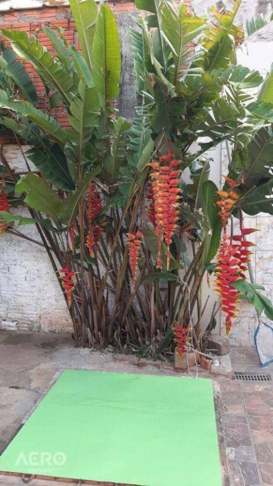 Casa, 2 quartos, 108 m² - Foto 6