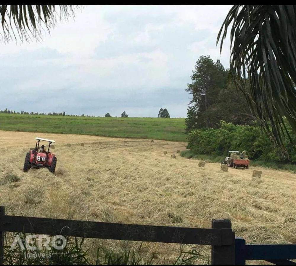 Fazenda à venda com 3 quartos, 400m² - Foto 5